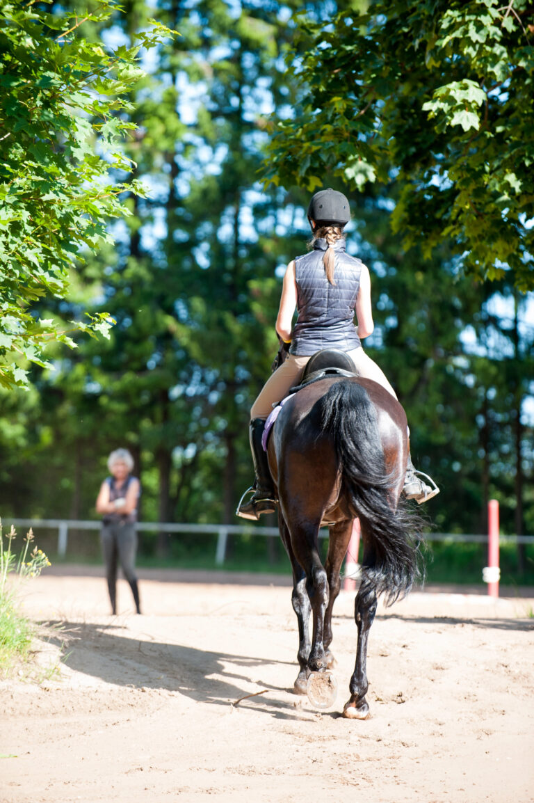 Top Tips for Getting the Best Results from Your Dressage Lessons