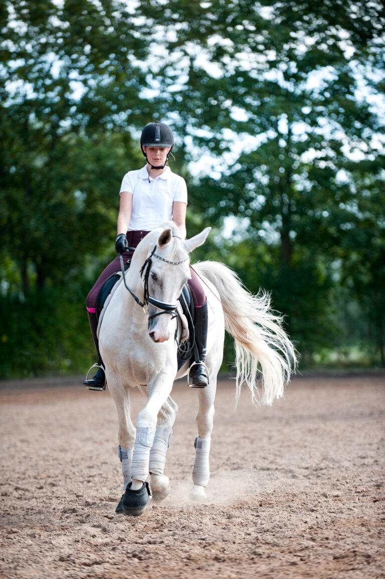 Riding Success Starts with Mindset: Using Affirmations to Stay Focused and Confident