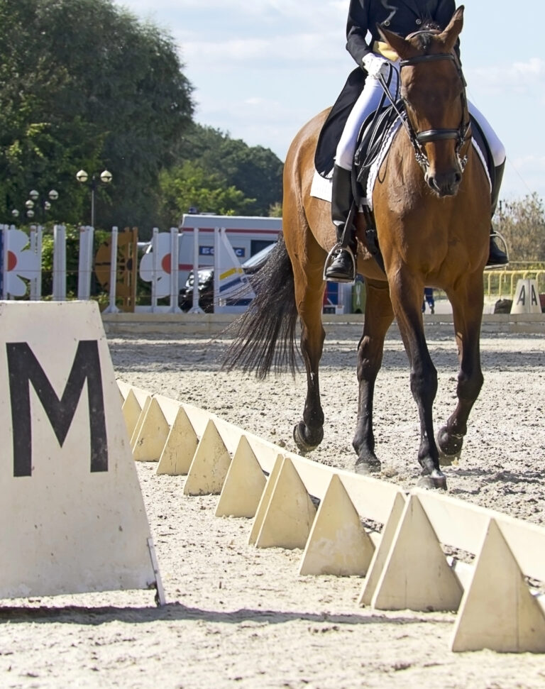 Understanding Dressage Tests: A Guide for Adult Amateurs